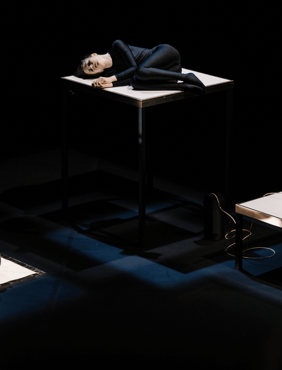 BZD web header Chiara Bersani