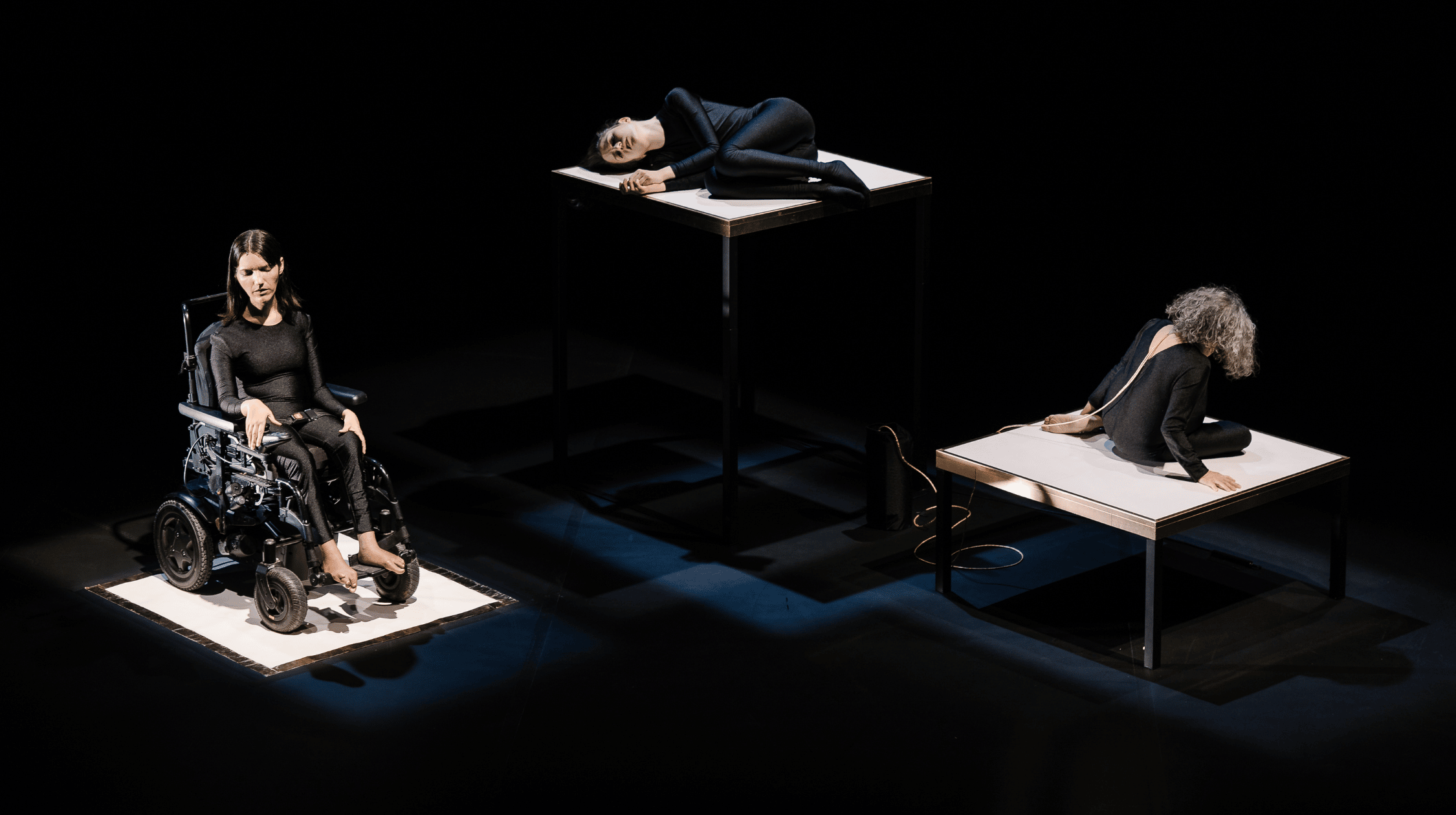 BZD web header Chiara Bersani