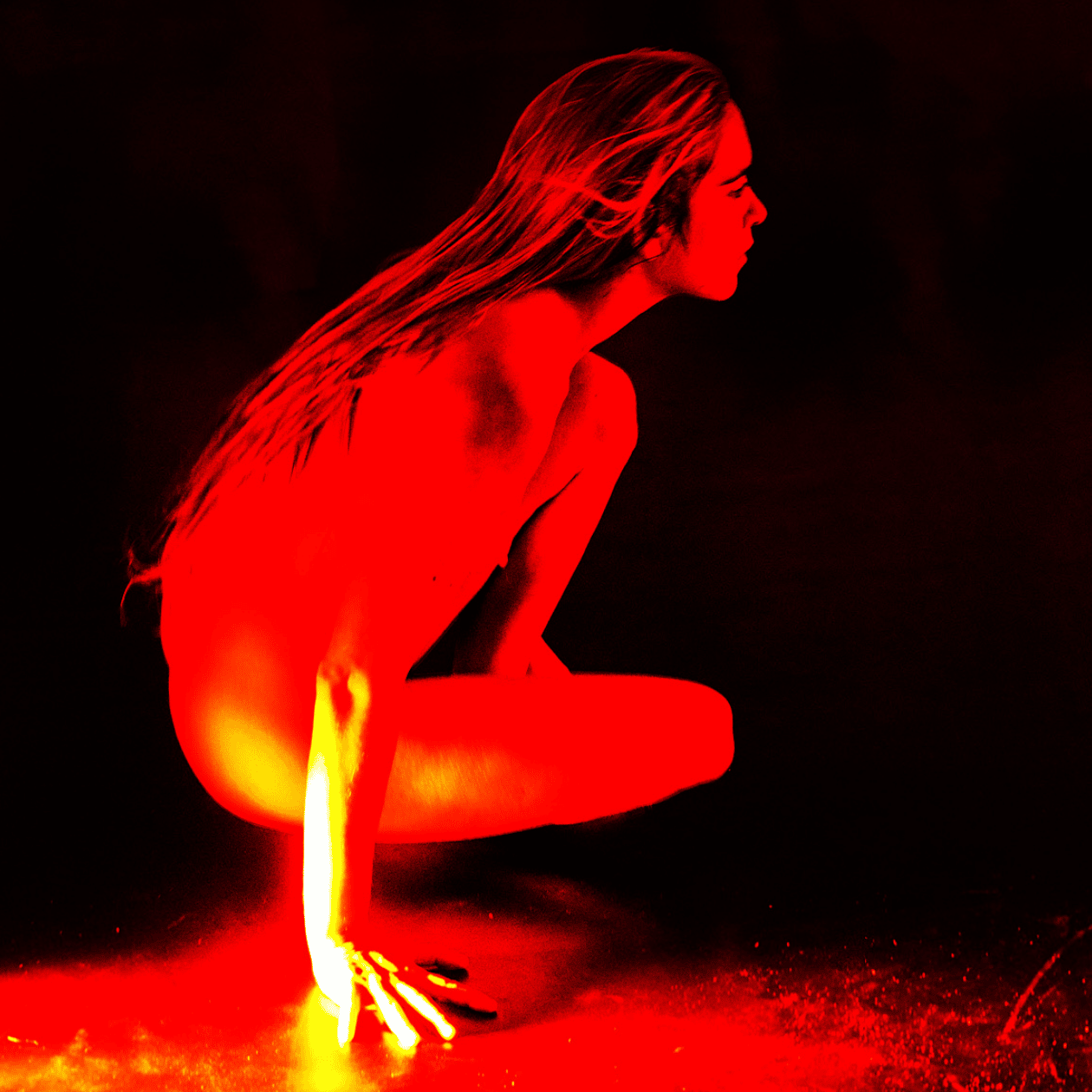 BZD web header cultofmagic