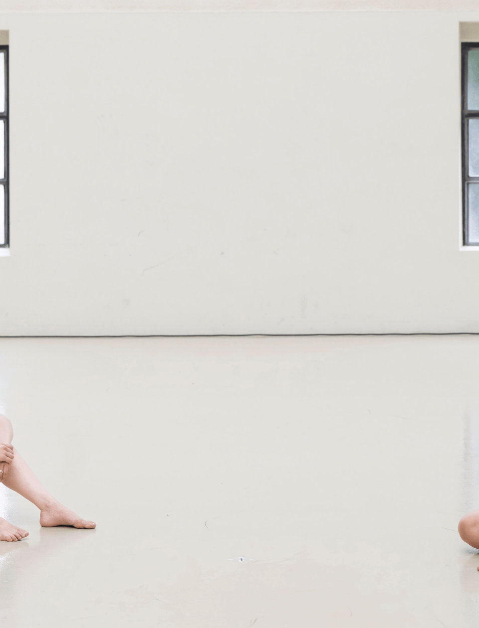 BZD web header landi