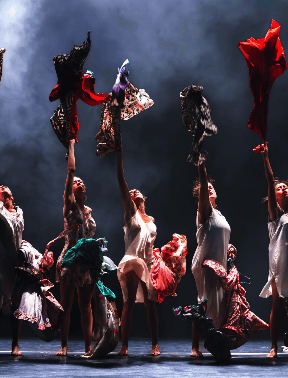 BZD web header maldonne