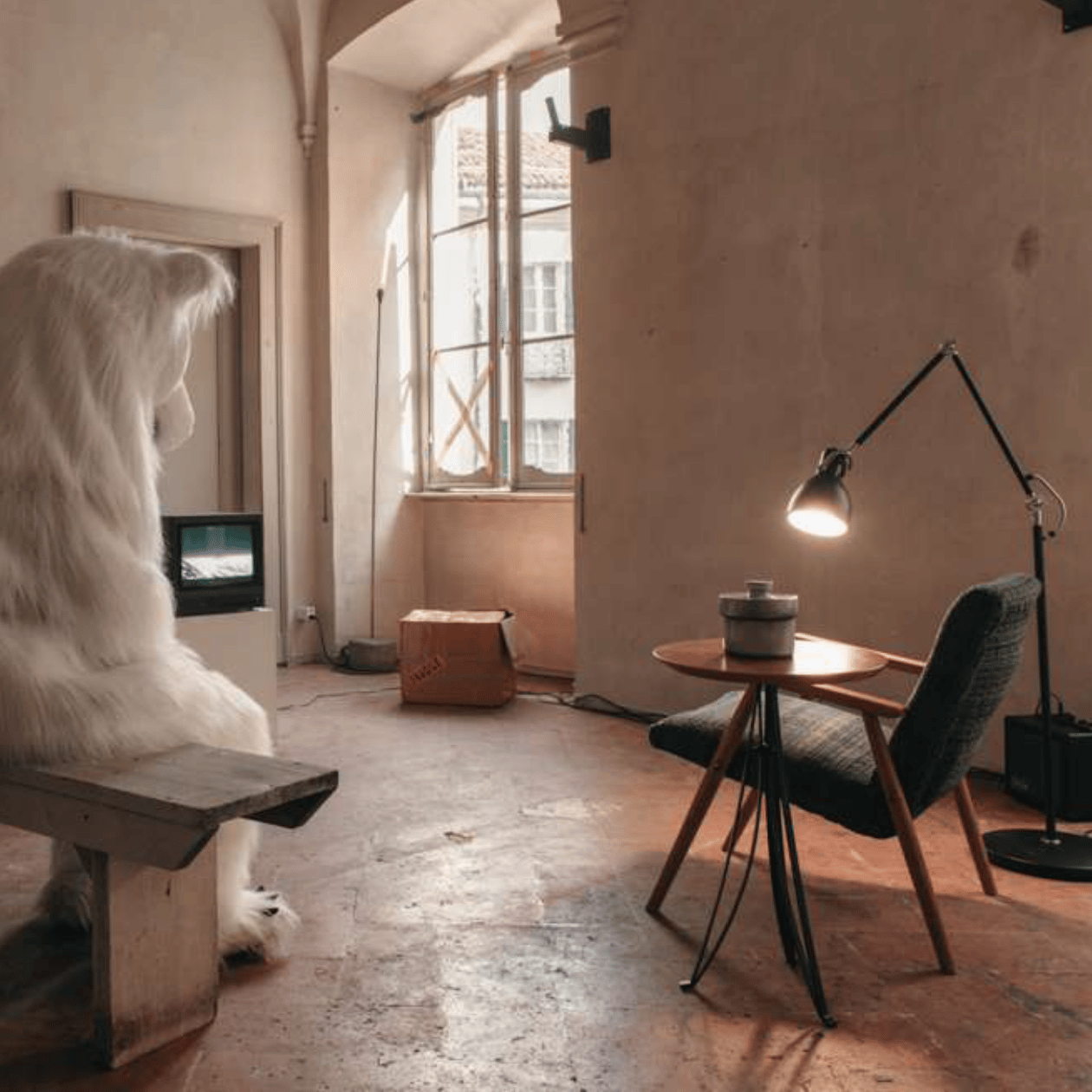 BZD web square camilla parini